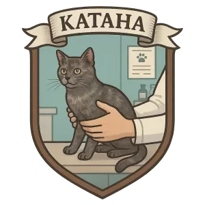 Герб семьи Катана