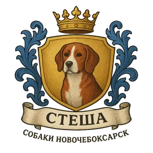 Гербы семьи Стеша