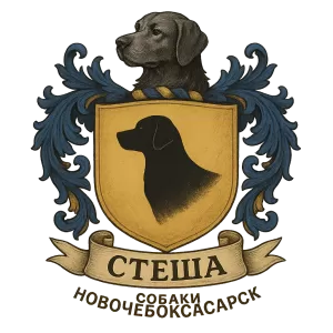 Герб семьи Стеша