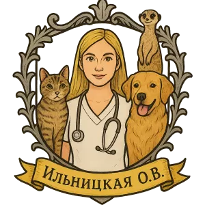 Гербы семьи Ильницкая О.В.